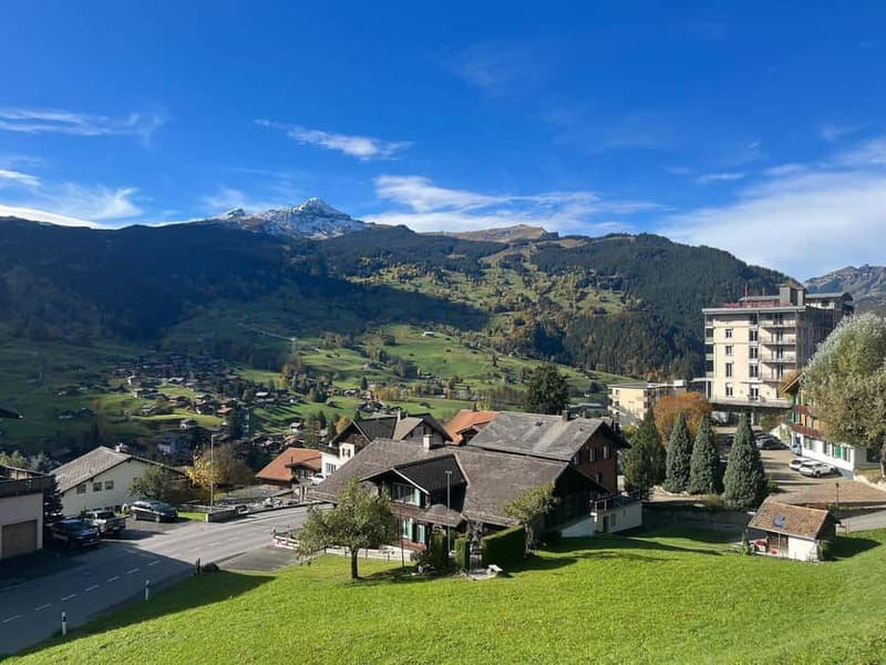 Grindelwald Private Walking tour - Practical Details & Tips