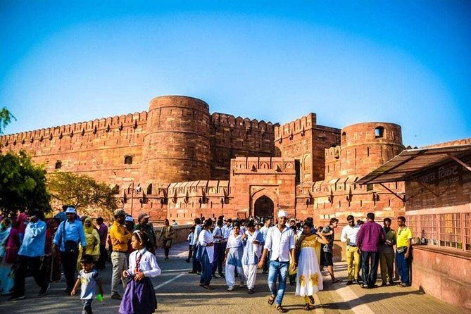 Guided Tour To Tajmahal & Wildlife SOS with Transports From Delhi - Price & Value Analysis