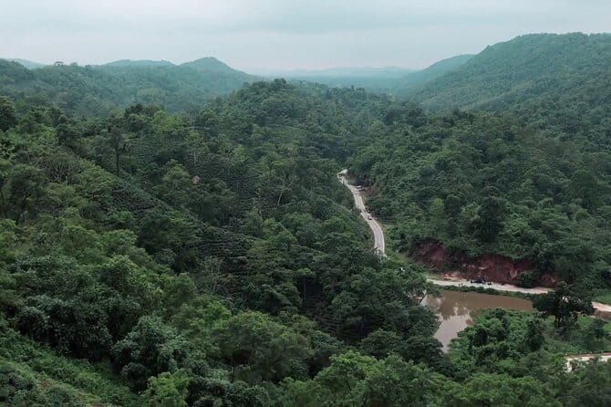 Guwahati Tea Garden tour @ Amchong - Why This Tour Is Worth It