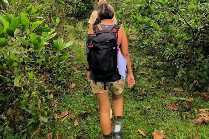 Ha Giang Loop Trekking Full Day Tour - The Sum Up: Who Is This Tour Best For?