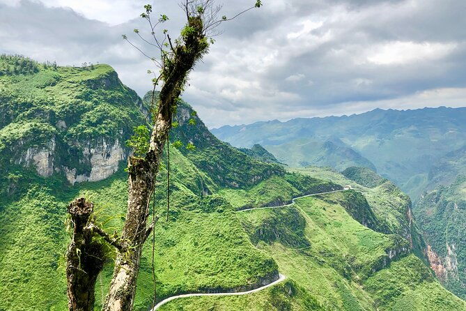Ha Giang Motorbike Tour 4 days 3 nights - Who Should Consider This Tour?