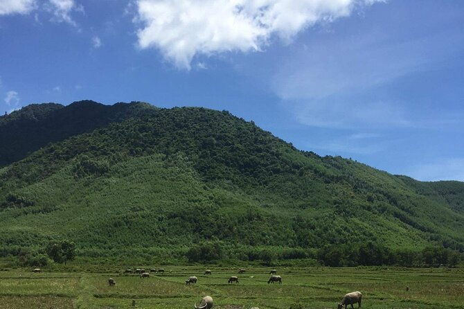 HAI VAN PASS MOTORBIKE TOUR - Top Gear Experience - Final Thoughts: Is This Tour Worth It?