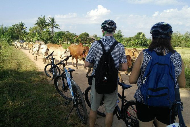 Half Day Cycling Tour to the White temple - Practical Tips for This Tour