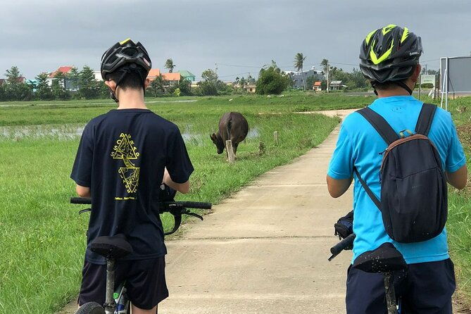 Half-day Hoi An Countryside Bike Tour - Detailed Breakdown of the Itinerary