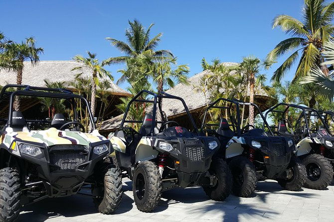 Half Day Jungle Buggies in Bali with Guide - FAQ