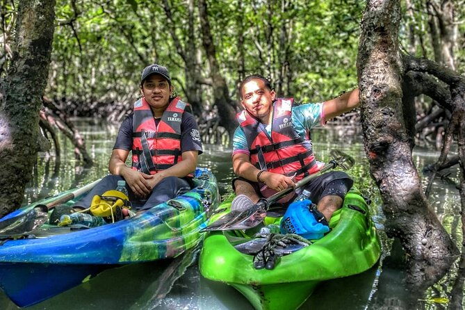 Half-Day Mangrove Kayaking in Langkawi - Exploring the Bat Cave and the Mangrove Walk