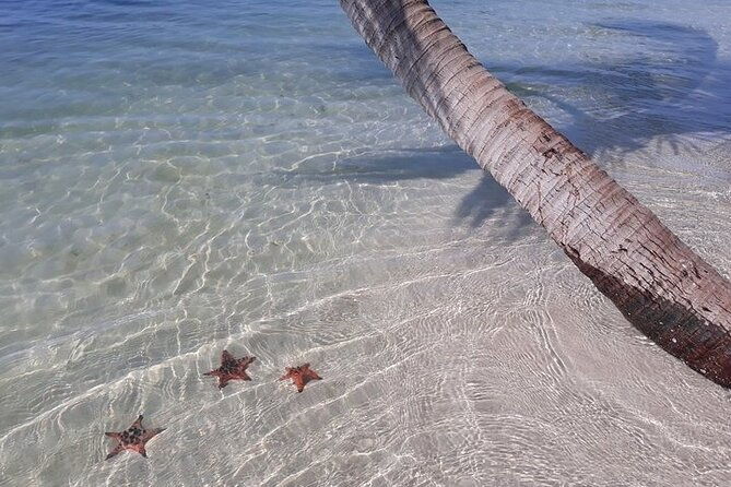 Half-day Motorbike Tour in Phu Quoc Island - FAQ Section