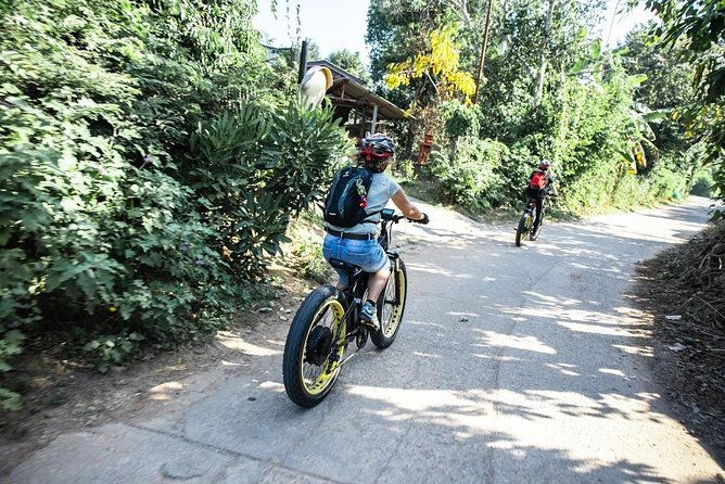 Half-day Ping River and rice paddies E-bike adventure (flat land, GUIDED) - Final Thoughts