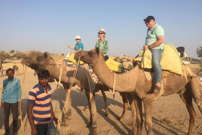 Half-Day Sunset Camel Safari in Rajasthan - Authentic Experiences from Reviewers