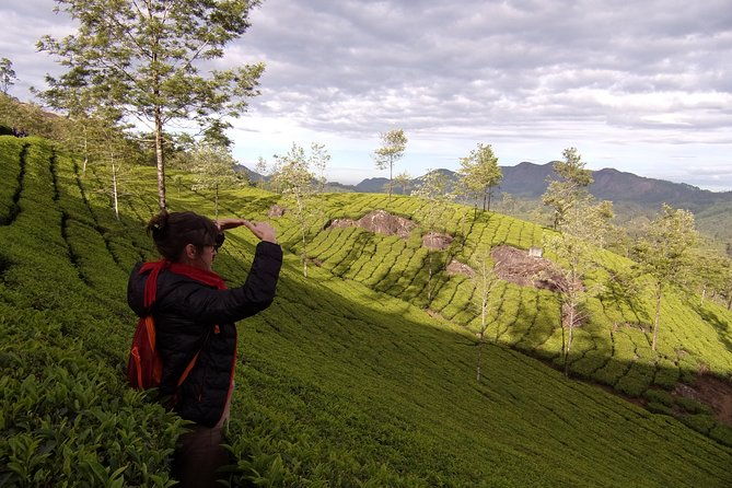 Half day trekking (munnar valley Trekking & Tours ) - The Sum Up