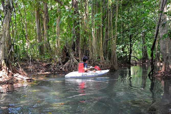 Half-Day Trip to Blue Lagoon at Klong Sra Kaew with Kayaking & ATV - Practical Details and What to Expect