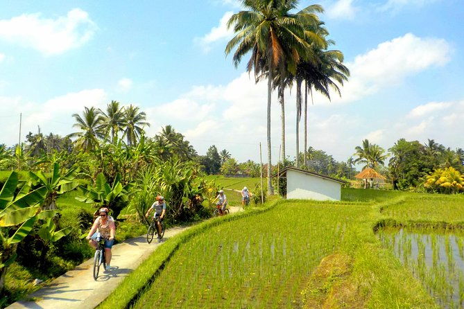 Half-Day Ubud Electric Cycling Tour to Tirta Empul Water Temple - What to Expect and Practical Details