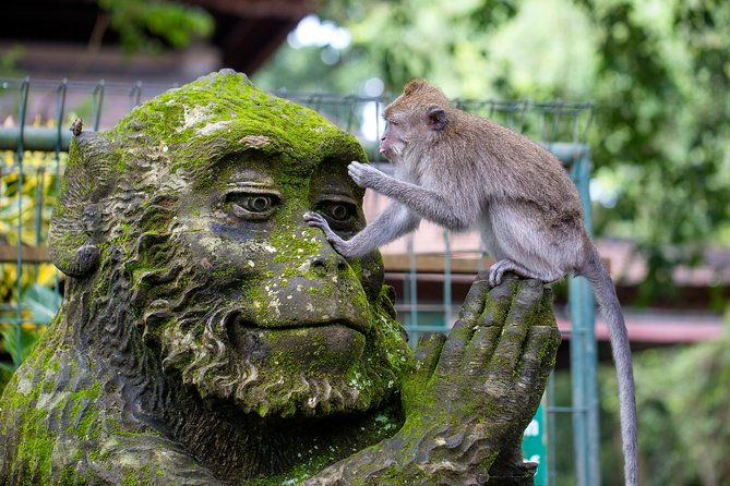 Half Day Ubud Tour: Ubud Unique Spots - Transportation and Practical Details