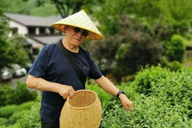 Hangzhou West Lake and Tea Plantation Half Day Tour - Who Is This Tour Perfect For?