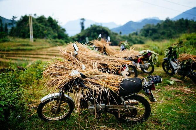 Hanoi Sapa Valley  Cat Cat Village - Fansipan Legend 4D3N - Food and Authentic Experiences
