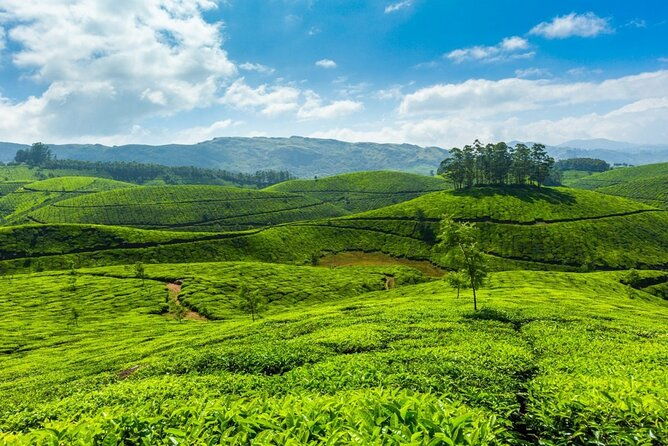 Highlights of Kerala - FAQ