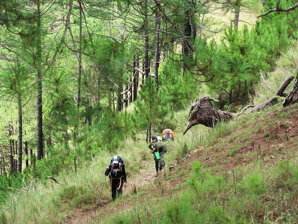 Hiking Day Tour to Triund from Dharamshala - FAQ