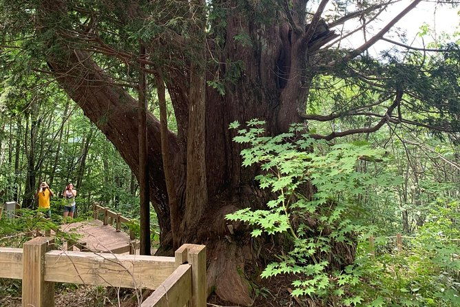 Hiking tour around Takayama city (About 3 hours) - FAQ