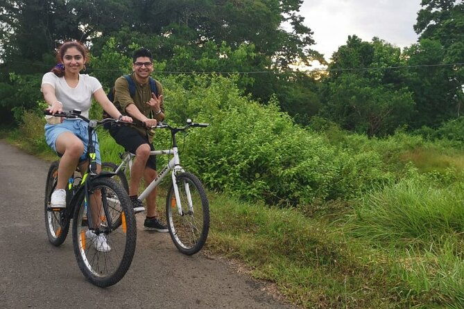 Hinterland Cycling Tour, Havelock - What to Expect at Each Stop