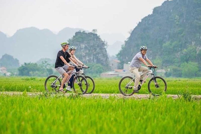 Hoa Lu Tamcoc 1 day trip - Who Will Love This Tour?