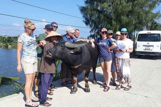 Hoi An Bicycle And Cooking Class Tour - Authentic Insights from Reviewers