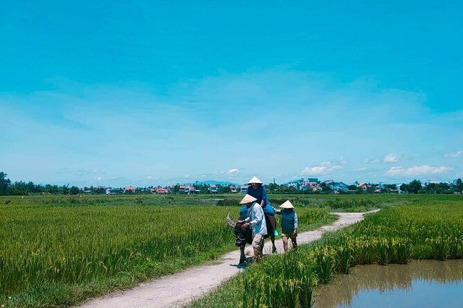 Hoi An Countryside - Buffalo Riding - Basket Boat Rowing - Who This Tour Is Best Suited For