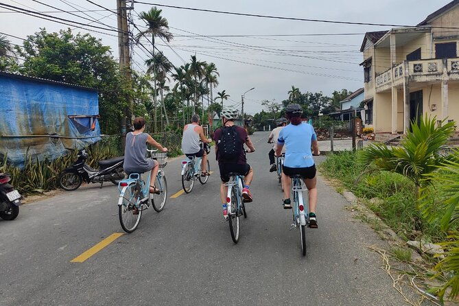 Hoi An Half-Day Bicycle Tour: Visit Herb Village, Row Basket Boat - Who Is This Tour Best For?