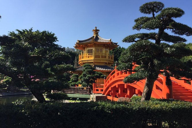 Hong Kong Private Tours by Locals: 100% Personalized, See the City Unscripted - Final Thoughts