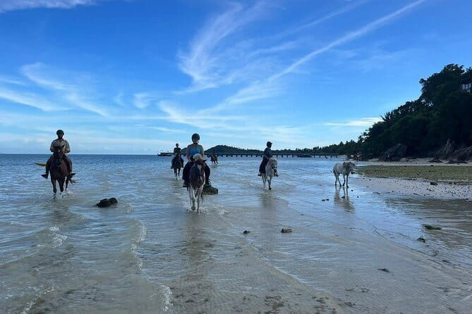 Horse Riding and Beach Trails on Koh Samui - Final Thoughts: Who Is This Tour Best For?