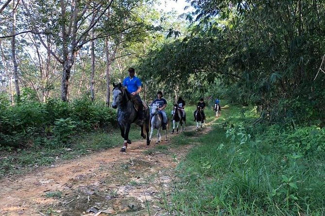 Horseback Riding 1 hour trail - The Experience from the Reviews