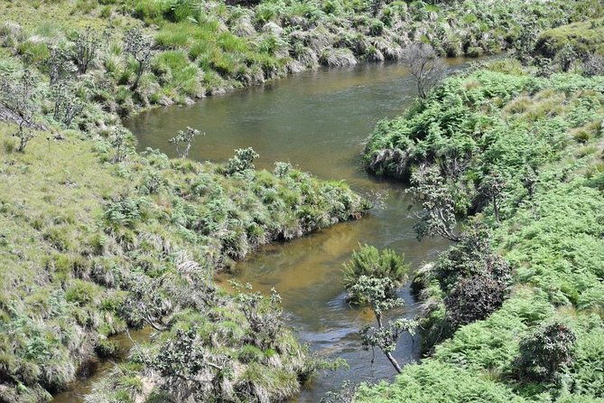 Horton Plains National Park Entrance Ticket with Guide - The Guided Experience: Adds Depth and Ease