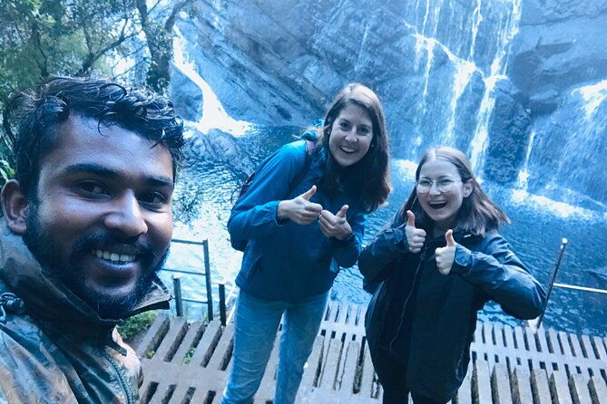 Horton Plains-World's End Tour and Tea Factory Tour From Nuwaraeliya - The Sum Up