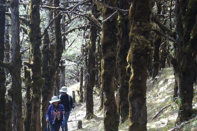 How to travel to Bhutan - Authentic Insights from Reviewers