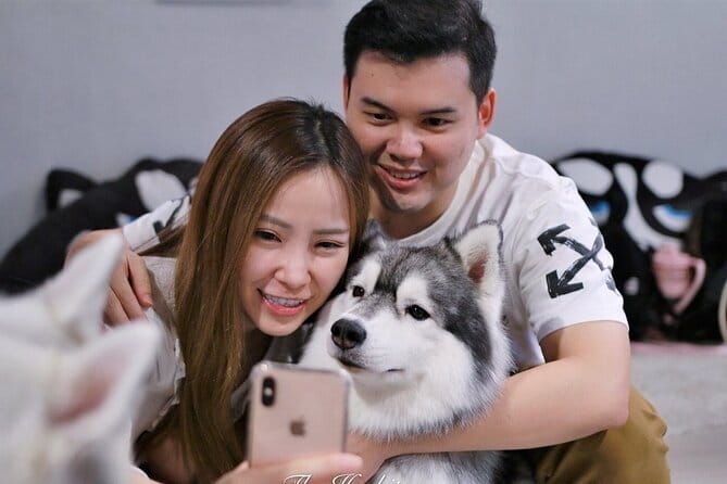 Huskitory Connecting People and Dogs - Who Should Consider This Tour?