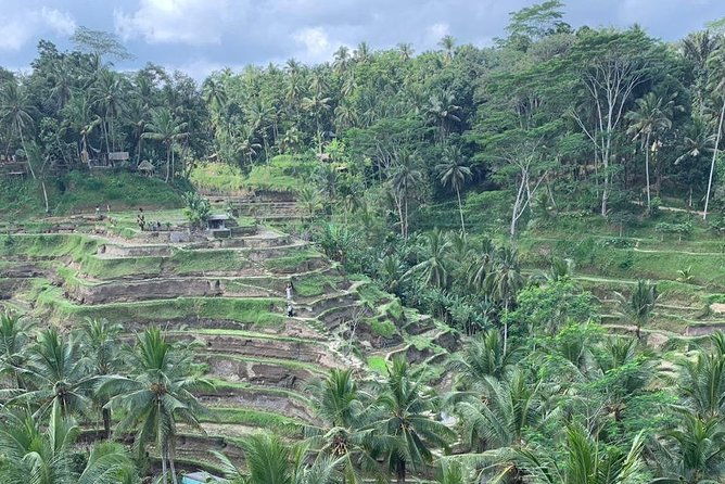 Individual Bali Day Trip with Private Driver and Free WiFi - What Are the Possible Drawbacks?