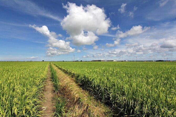 Instagrammable Kuala Selangor Sky Mirror Tour with Transfer - Frequently Asked Questions (FAQs)