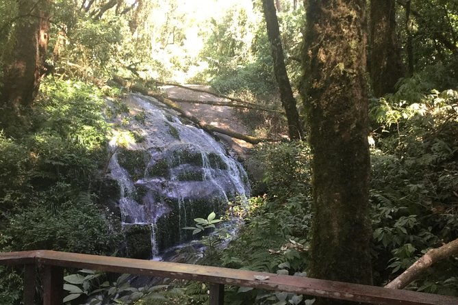 Inthanon Small-Group with Kew Mae Pan Trail from Chiang Mai include Lunch - FAQ