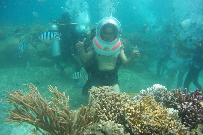 Island Hopping Plus Sea Walking Nha Trang - Who Will Love This Tour?