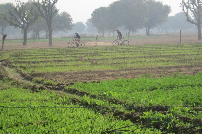 Jaipur Village Cycling Safari - Practical Tips for the Tour