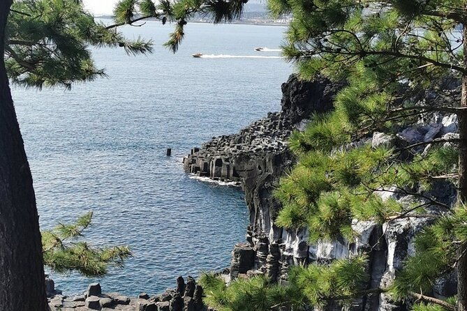 Jeju Island English Private & Flexible Tour any number anywhere - Authentic Experiences from Real Travelers