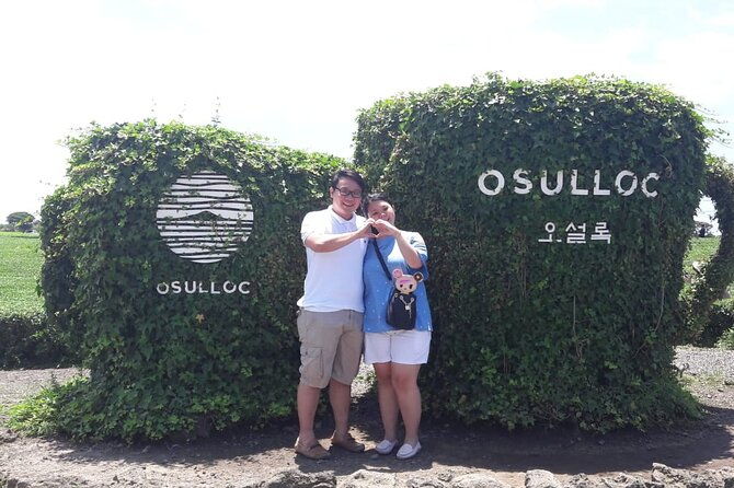 Jeju Island Private Taxi Tour in O`sulloc & Innisfree & Iho Beach - Who Would Love This Tour?