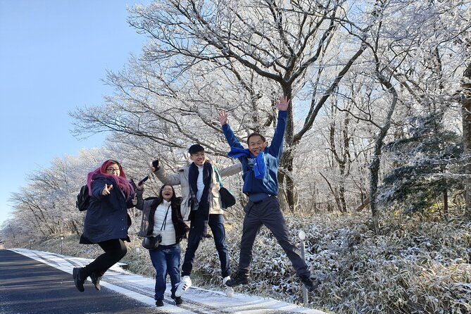 Jeju island Private UNESCO Tour - For Cruise customer - FAQ