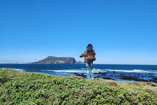 Jeju Private Half-Day Tour for Cruise Customers - The Sum Up
