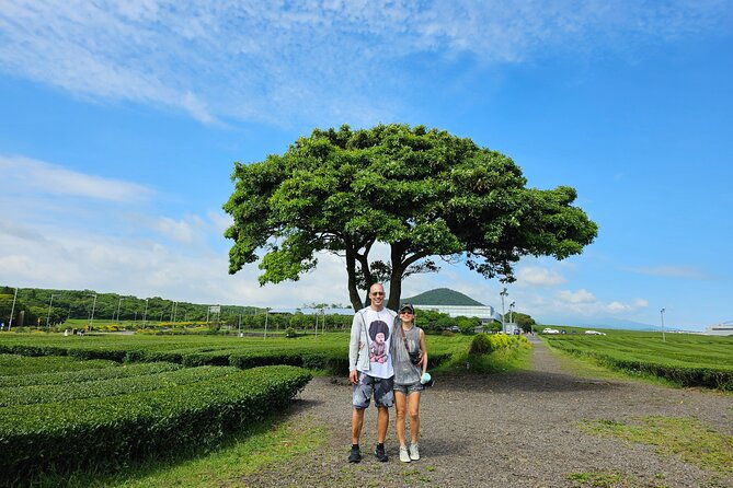 Jeju Private Tour Package-South of Jeju(Mt.Hallasan & Waterfalls) - Final Thoughts