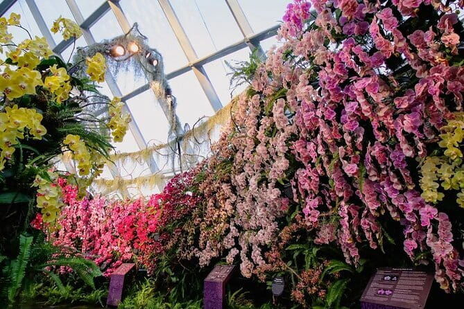 Jewel Changi Airport Canopy Park Tickets - FAQ: Jewel Changi Airport Canopy Park Tickets