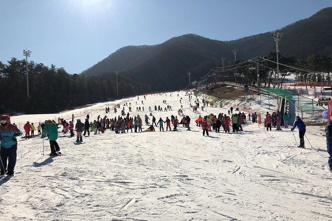Jisan Ski One Day Tour - Who Should Consider This Tour?