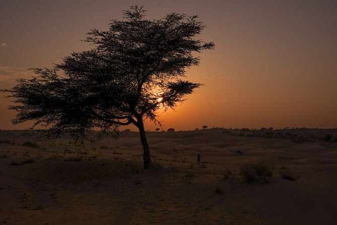 Jodhpur overnight desert camping with camel safari Jodhpur - Practical Details and Considerations