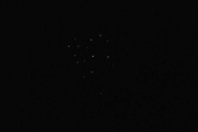 Joiners Firefly Watching Tour - The Itinerary: From Land to Light Show