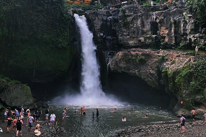 Jungle Swing - Volcano - Water Temple - Monkey Forest and Waterfall Tour - Practical Information: What You Need to Know