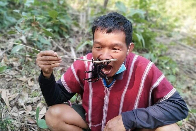 Jungle Wisdom Survival Trek - Final Thoughts: Who Will Love This Tour?